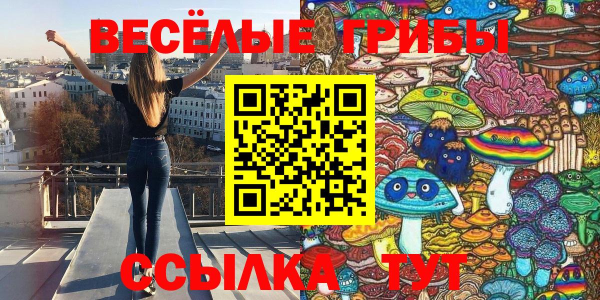 Псилоцибиновые грибы Psilocybe Назарово